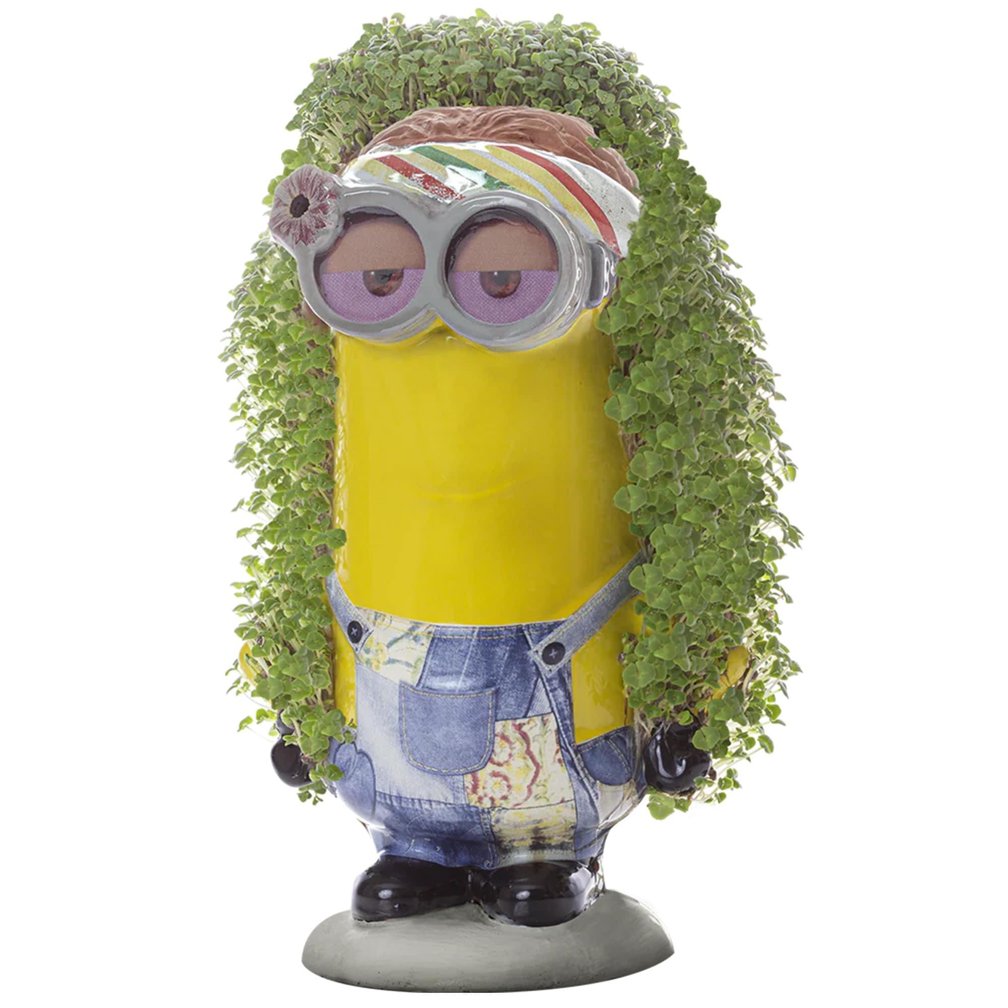 Minions Kevin Chia Pet