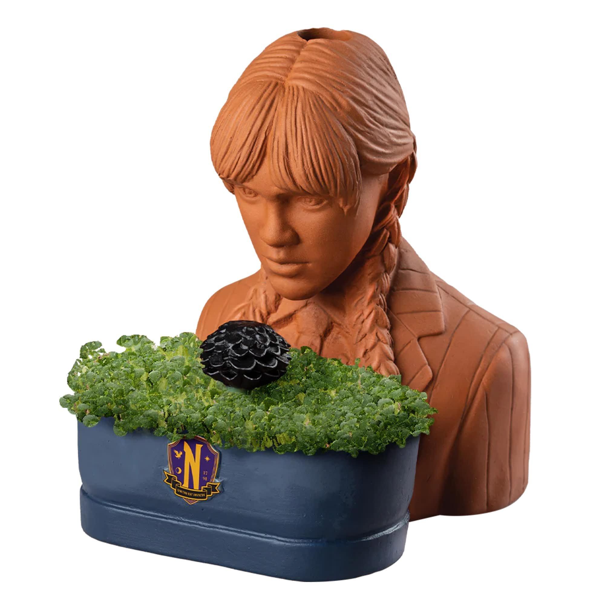 Addams Family Wednesday Chia Pet