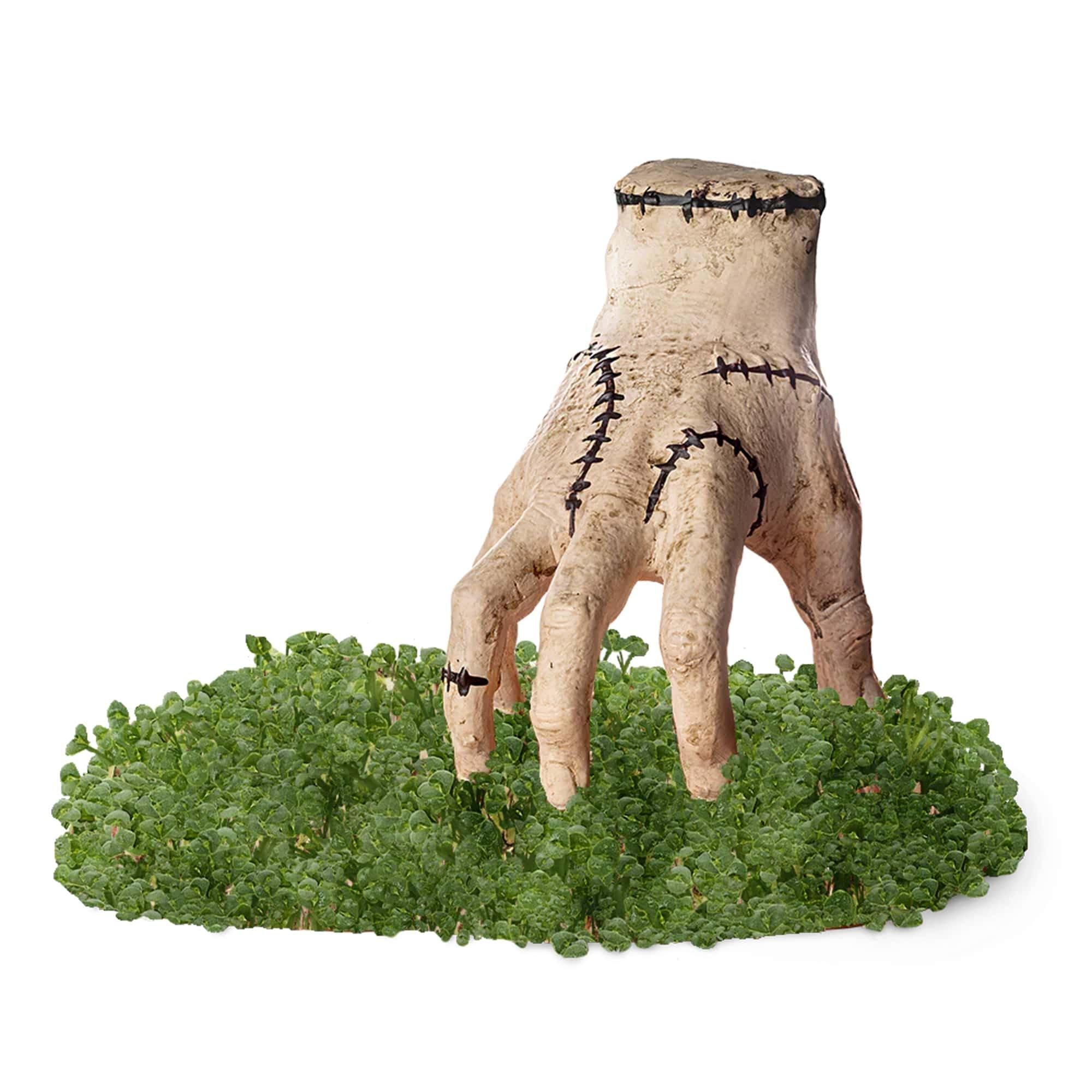 Addams Family - Thing Chia Pet