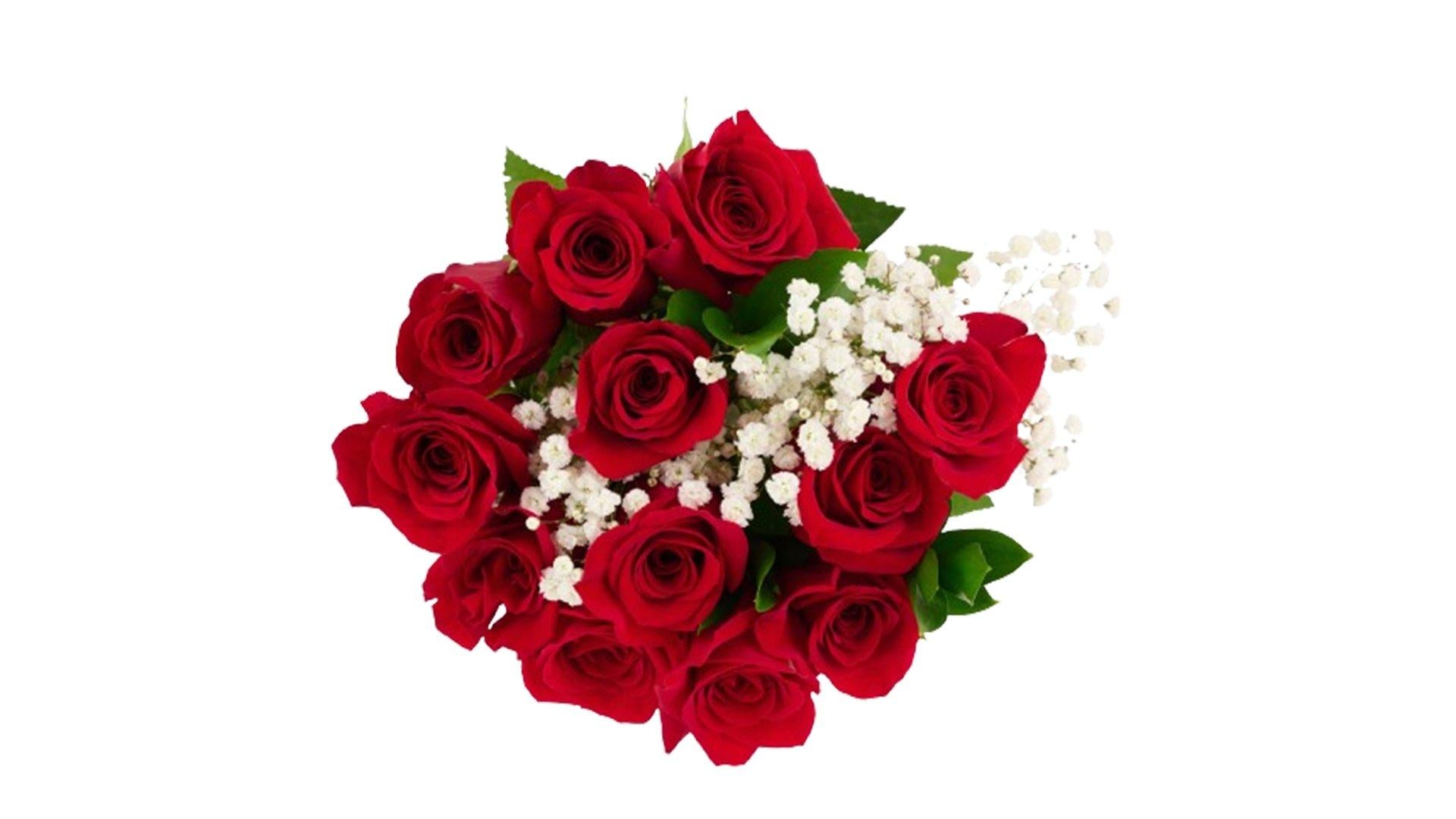 Premium Red Rose Flower Bouquet (12 ct)