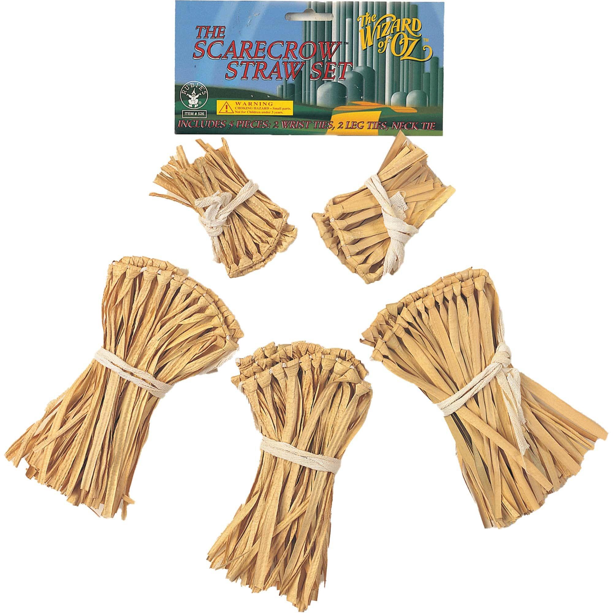 Adult Wizard of Oz Scarecrow Straw Accessory Set