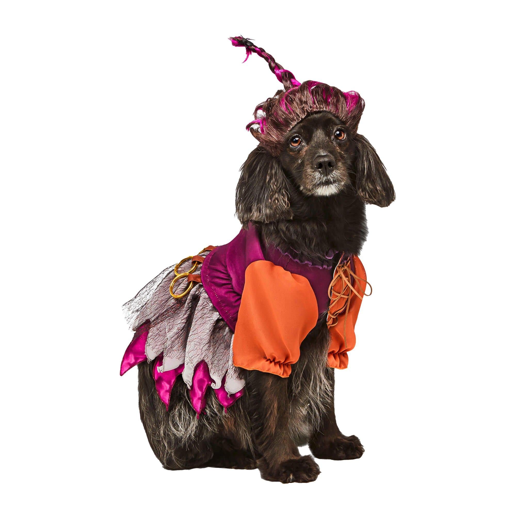 Hocus Pocus Mary Pet Costume