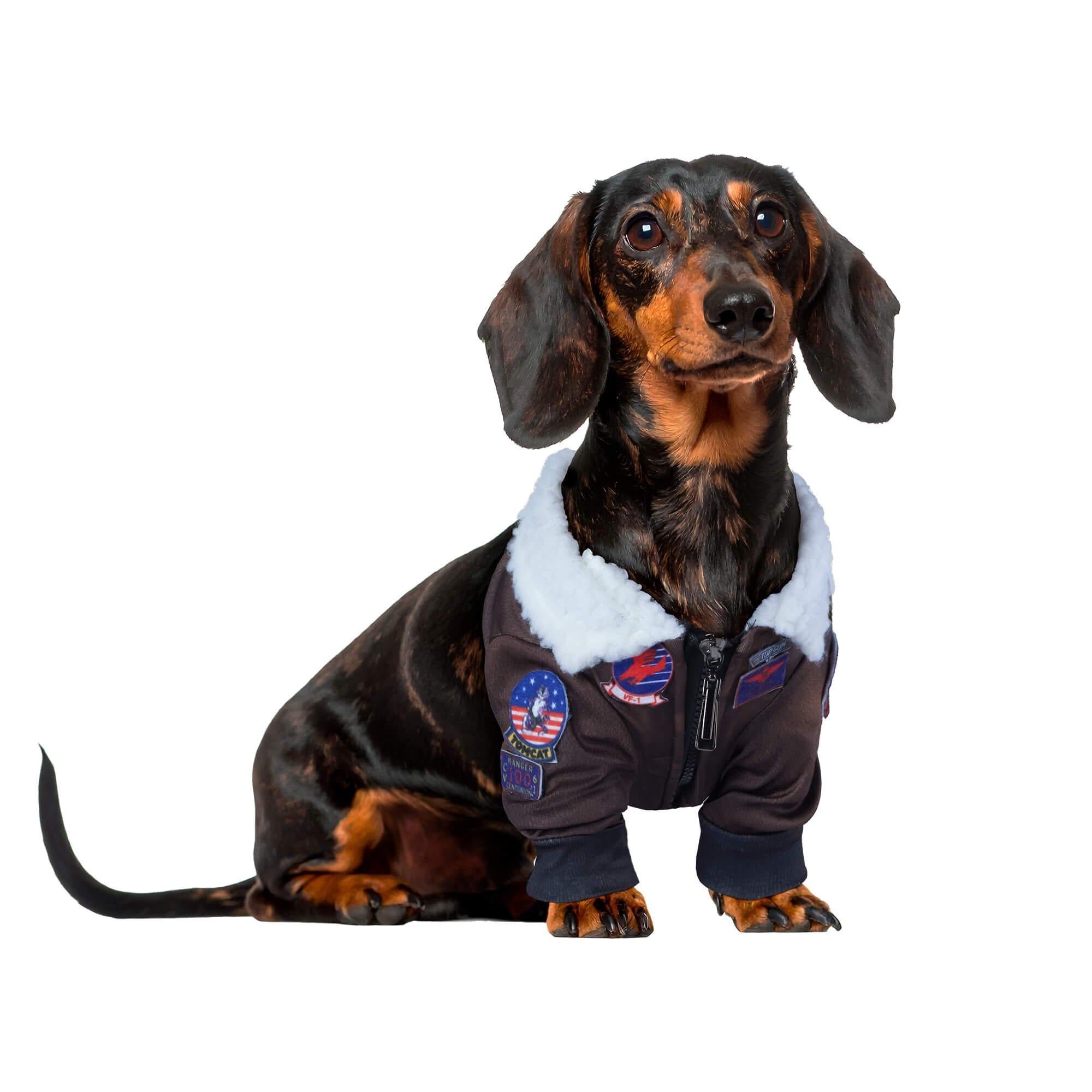 Top Gun Pet Jacket