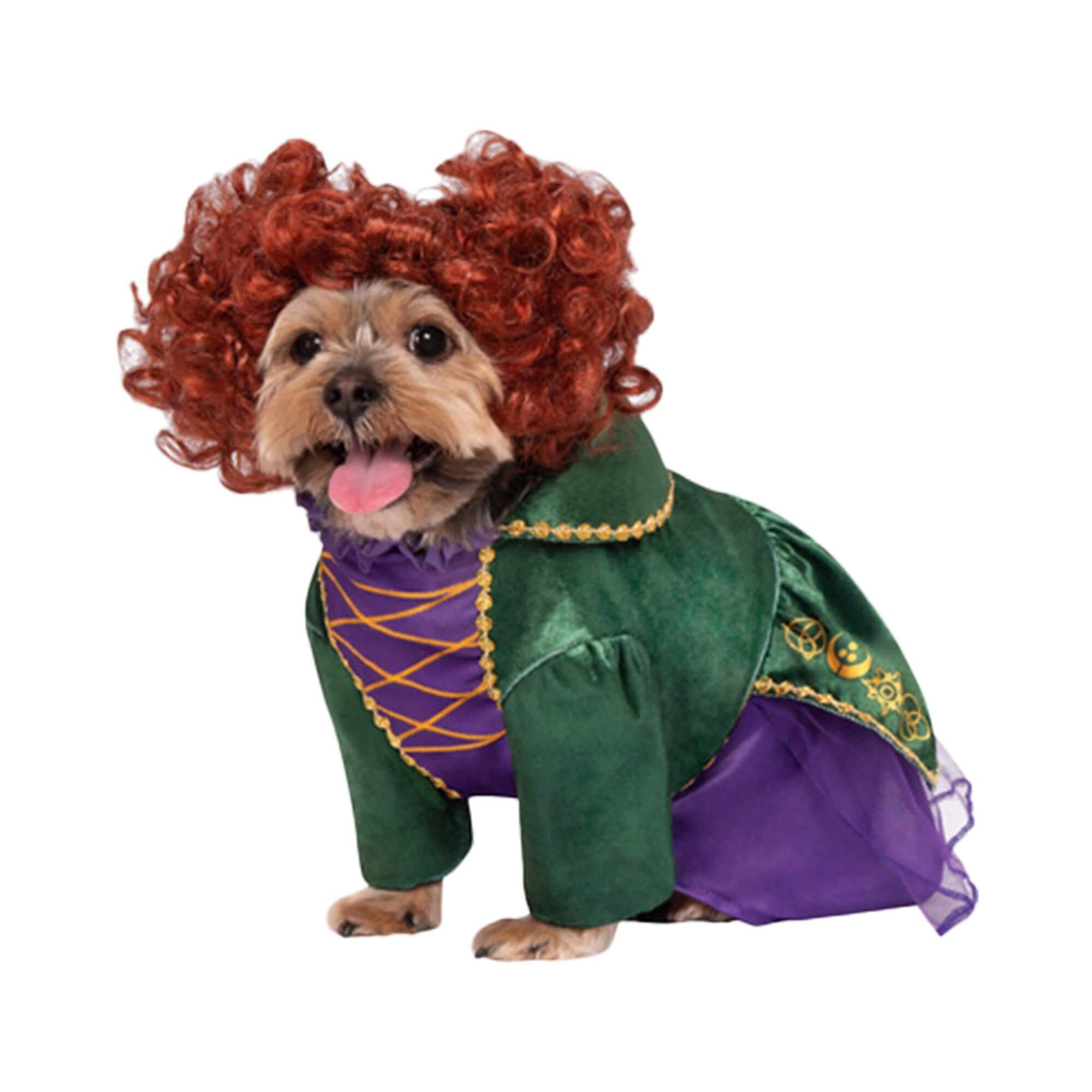 Hocus Pocus Winifred Pet Costume