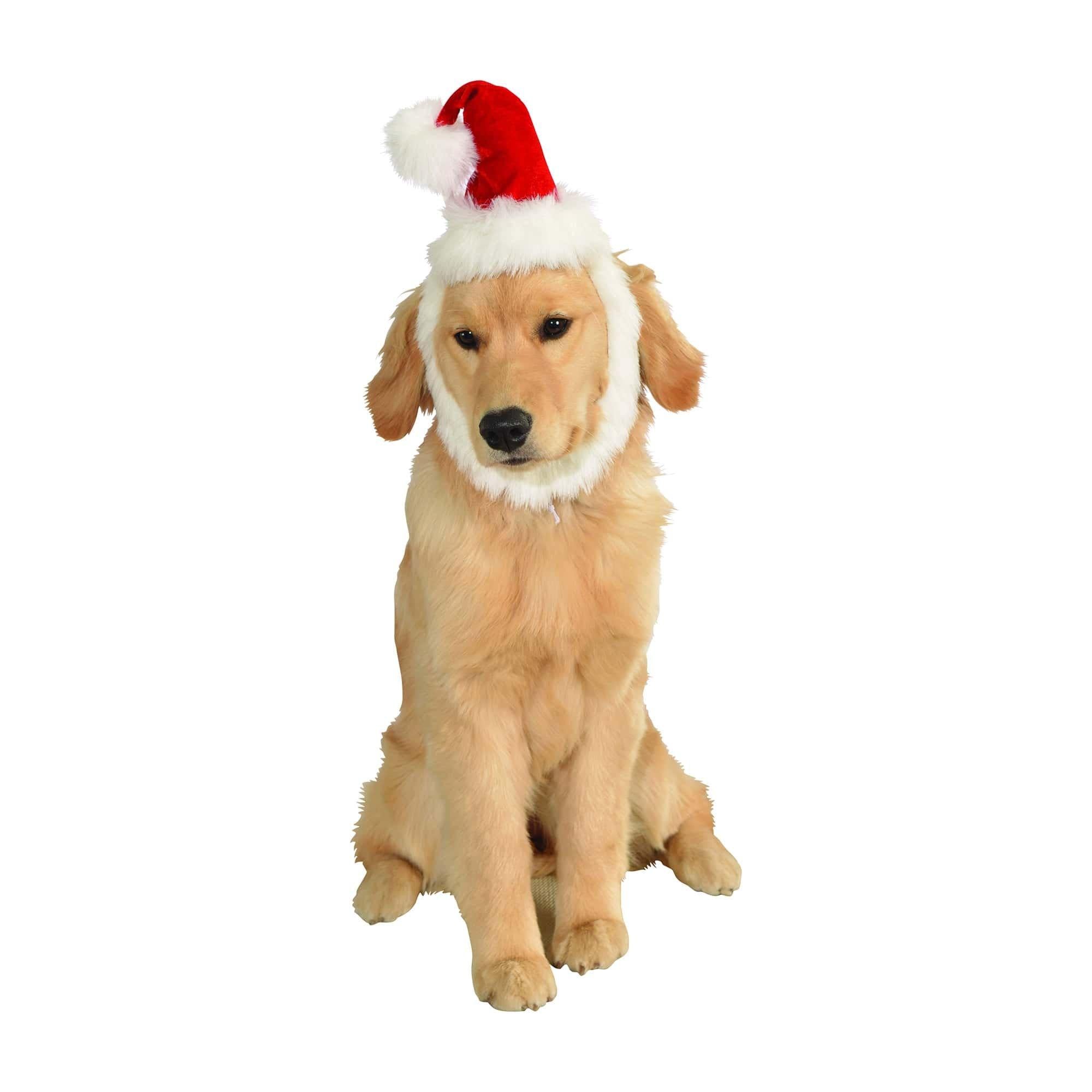 Red Pet Santa Hat and Beard