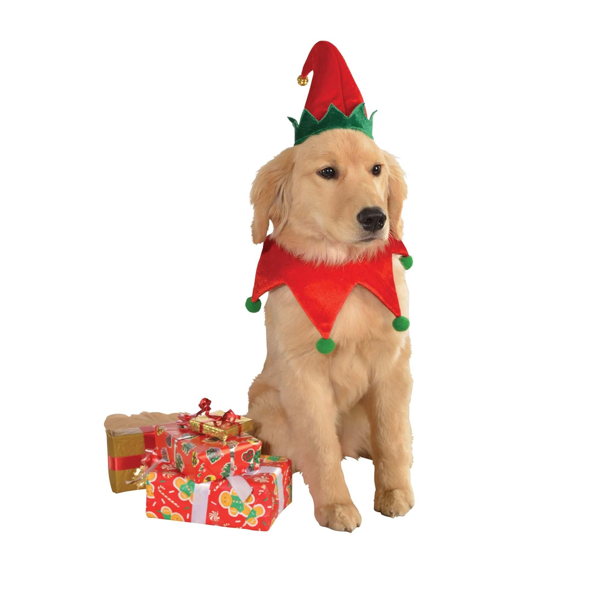 Red and Green Elf Pet Collar and Hat