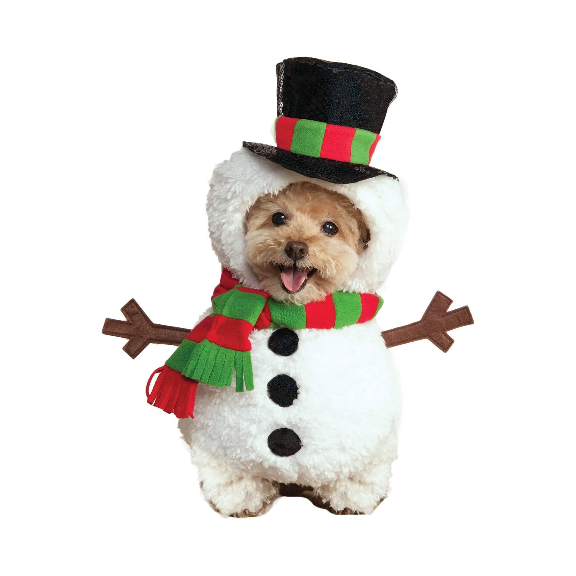 Snowman Walking Pet Costume