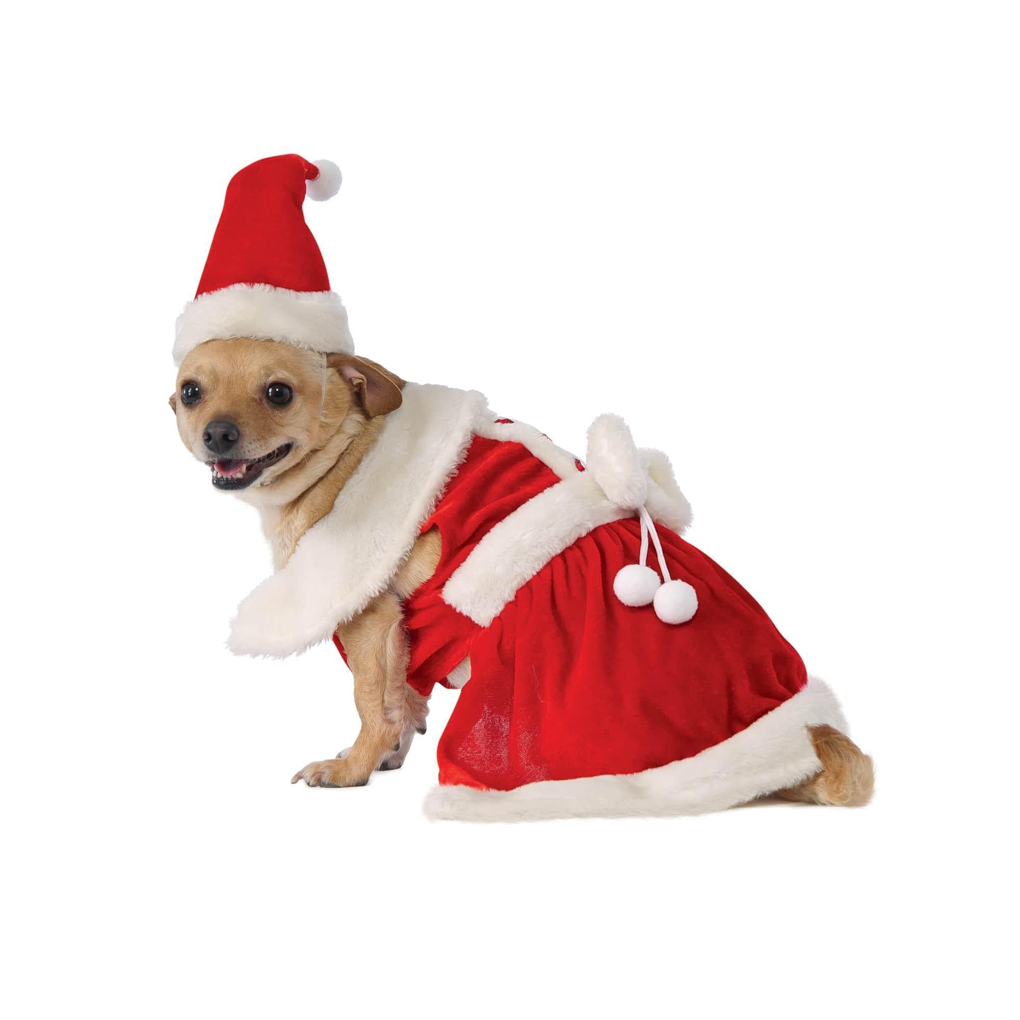 Pet Mrs. Claus Costume